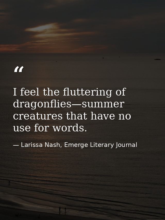 I feel the fluttering of dragonflies—summer creatures that have no use for words. — Larissa Nash, Emerge Literary Journal