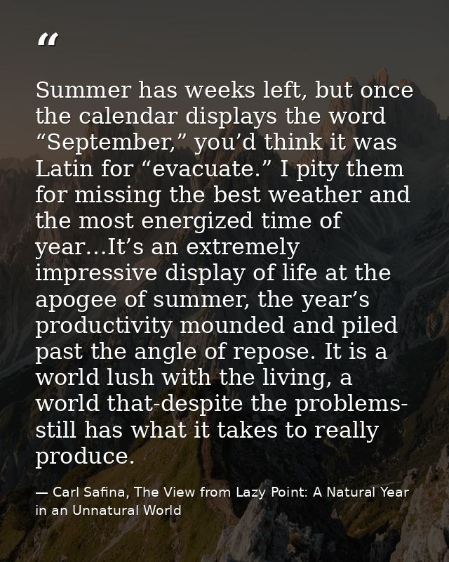 Summer has weeks left, but once the calendar displays the word “September,” you’d think it was Latin for “evacuate.” I p — Carl Safina, The View from Lazy Point: A Natural Year in an Unnatural World