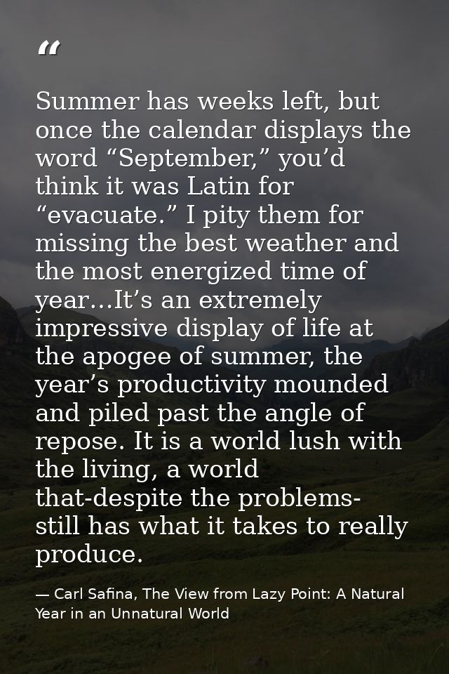 Summer has weeks left, but once the calendar displays the word “September,” you’d think it was Latin for “evacuate.” I p — Carl Safina, The View from Lazy Point: A Natural Year in an Unnatural World