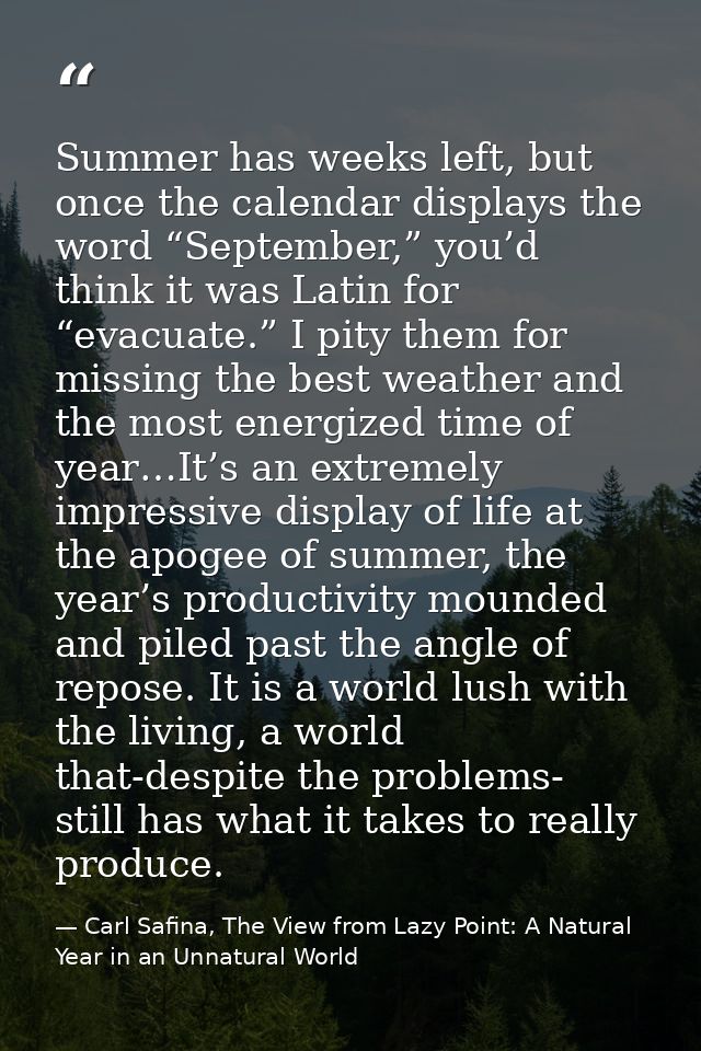 Summer has weeks left, but once the calendar displays the word “September,” you’d think it was Latin for “evacuate.” I p — Carl Safina, The View from Lazy Point: A Natural Year in an Unnatural World