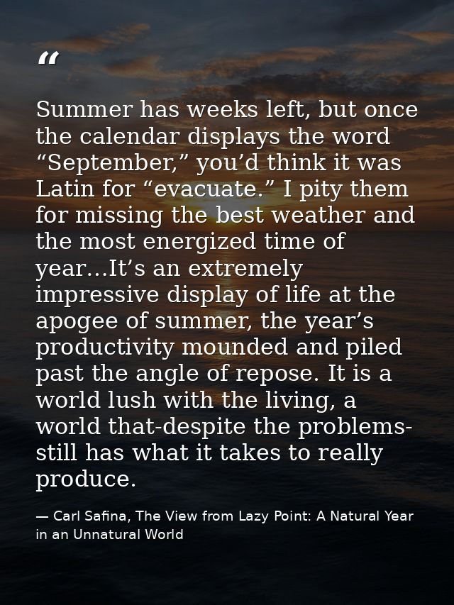 Summer has weeks left, but once the calendar displays the word “September,” you’d think it was Latin for “evacuate.” I p — Carl Safina, The View from Lazy Point: A Natural Year in an Unnatural World