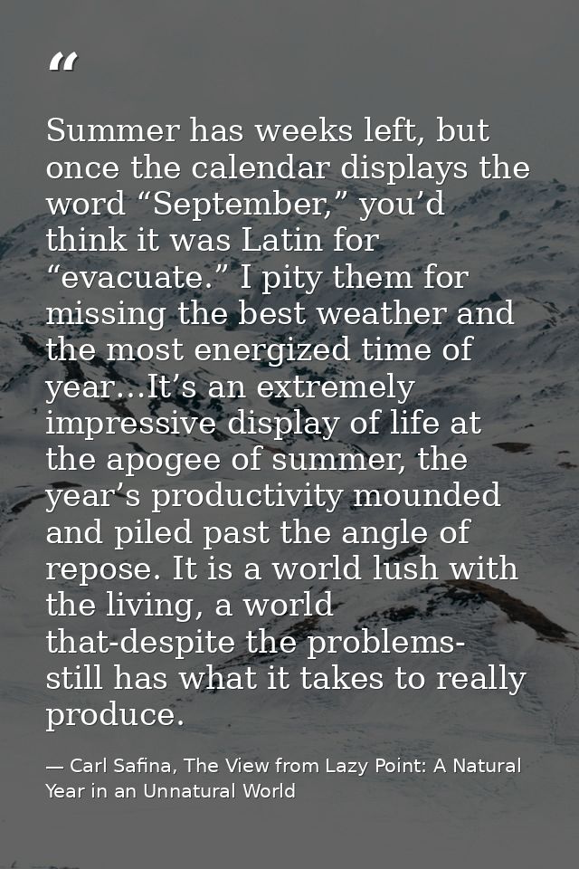 Summer has weeks left, but once the calendar displays the word “September,” you’d think it was Latin for “evacuate.” I p — Carl Safina, The View from Lazy Point: A Natural Year in an Unnatural World