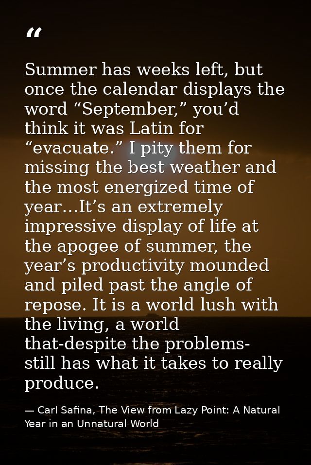 Summer has weeks left, but once the calendar displays the word “September,” you’d think it was Latin for “evacuate.” I p — Carl Safina, The View from Lazy Point: A Natural Year in an Unnatural World