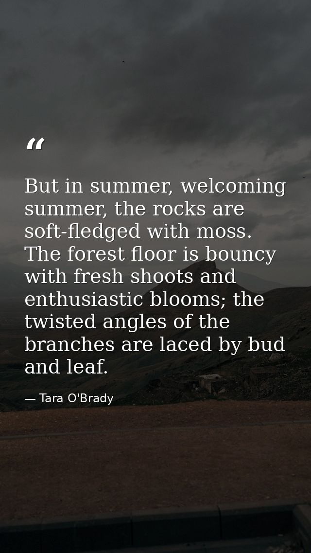 But in summer, welcoming summer, the rocks are soft-fledged with moss. The forest floor is bouncy with fresh shoots and  — Tara O'Brady