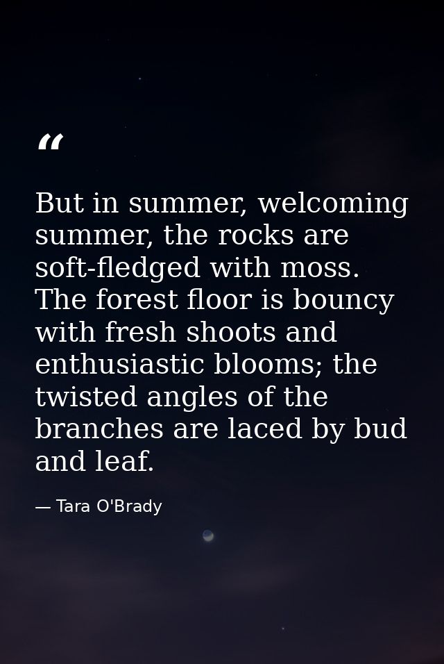 But in summer, welcoming summer, the rocks are soft-fledged with moss. The forest floor is bouncy with fresh shoots and  — Tara O'Brady