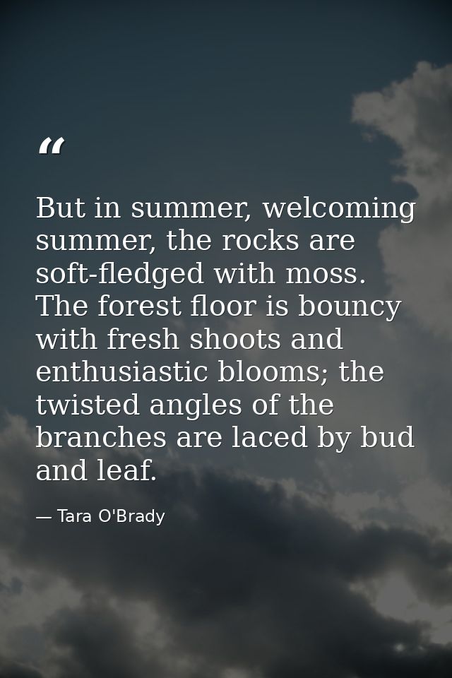 But in summer, welcoming summer, the rocks are soft-fledged with moss. The forest floor is bouncy with fresh shoots and  — Tara O'Brady