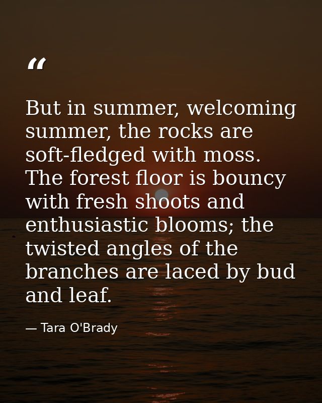 But in summer, welcoming summer, the rocks are soft-fledged with moss. The forest floor is bouncy with fresh shoots and  — Tara O'Brady