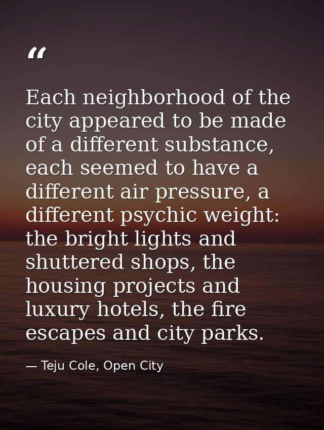 Each neighborhood of the city appeared to be made of a different substance, each seemed to have a different air pressure — Teju Cole, Open City