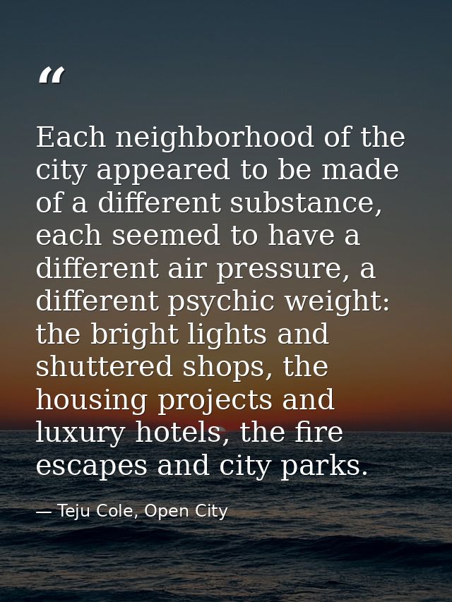 Each neighborhood of the city appeared to be made of a different substance, each seemed to have a different air pressure — Teju Cole, Open City