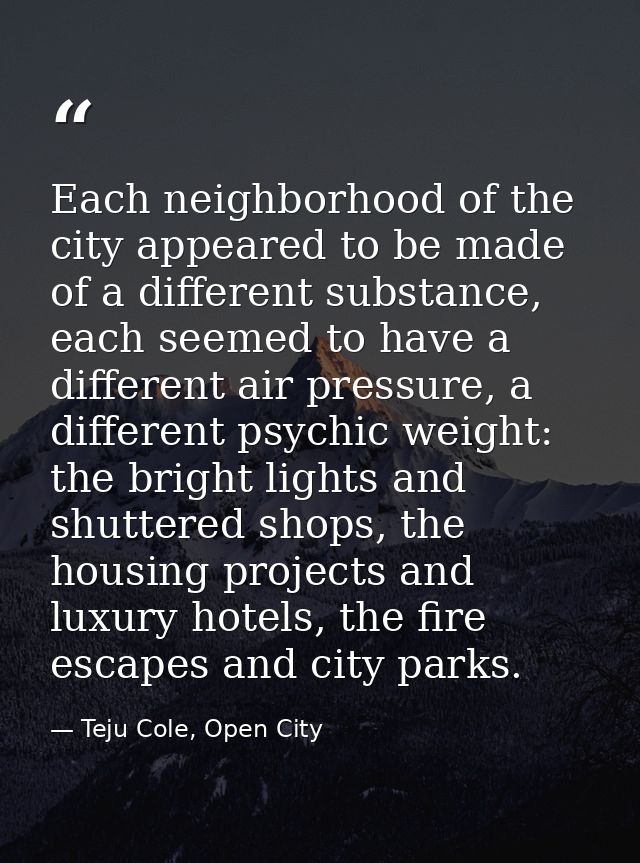 Each neighborhood of the city appeared to be made of a different substance, each seemed to have a different air pressure — Teju Cole, Open City