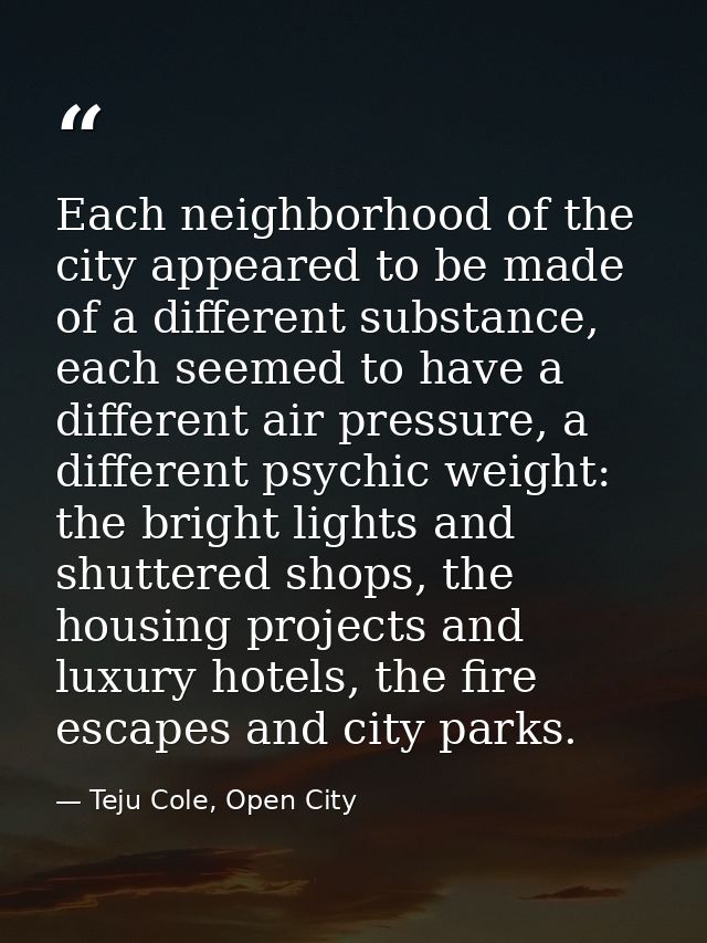 Each neighborhood of the city appeared to be made of a different substance, each seemed to have a different air pressure — Teju Cole, Open City