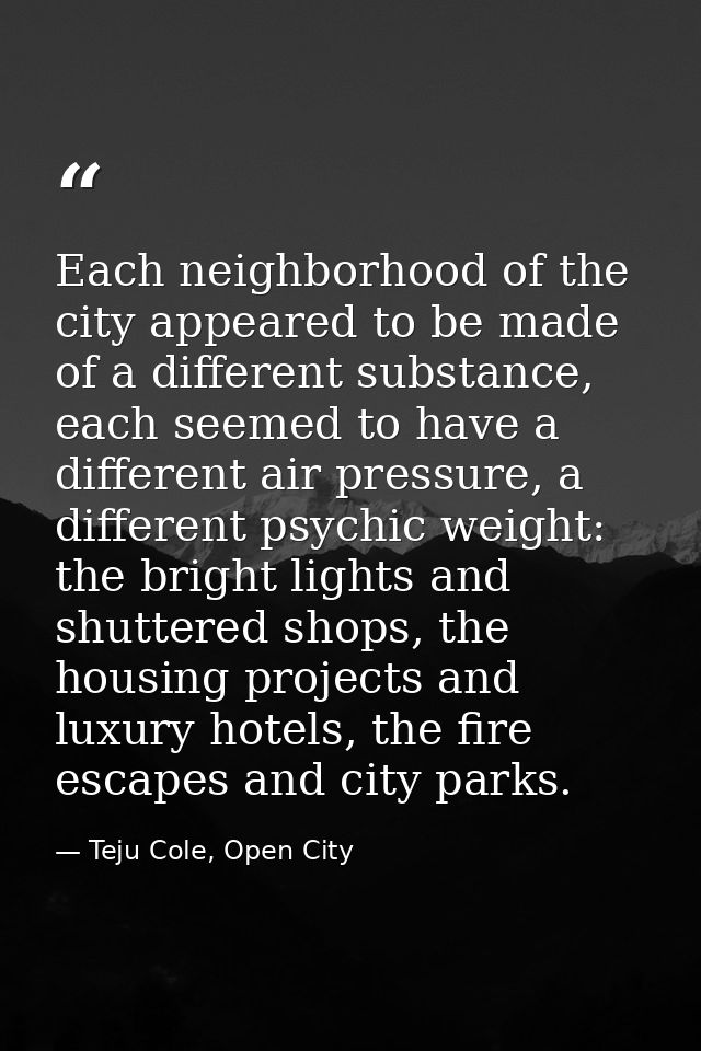 Each neighborhood of the city appeared to be made of a different substance, each seemed to have a different air pressure — Teju Cole, Open City
