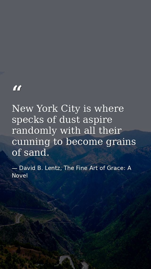 New York City is where specks of dust aspire randomly with all their cunning to become grains of sand. — David B. Lentz, The Fine Art of Grace: A Novel