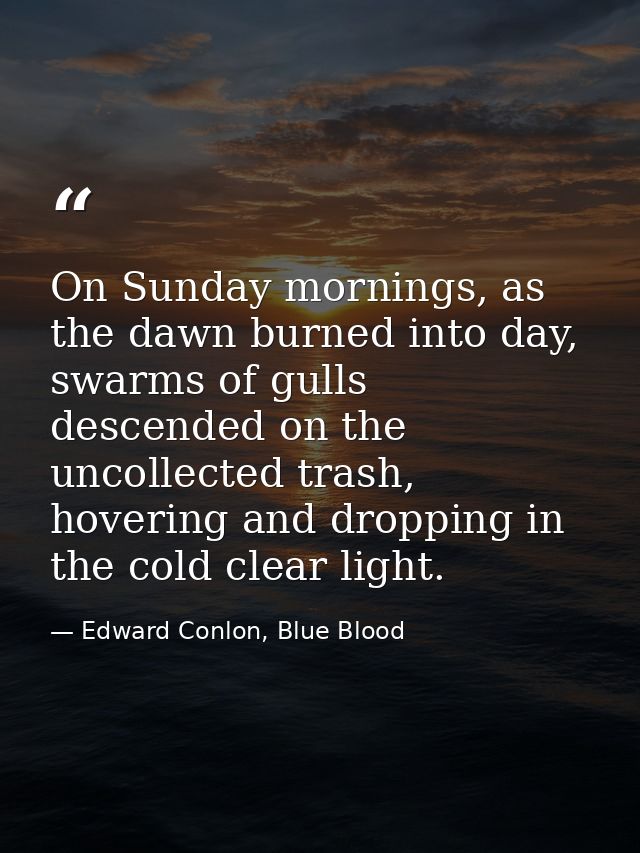 On Sunday mornings, as the dawn burned into day, swarms of gulls descended on the uncollected trash, hovering and droppi — Edward Conlon, Blue Blood