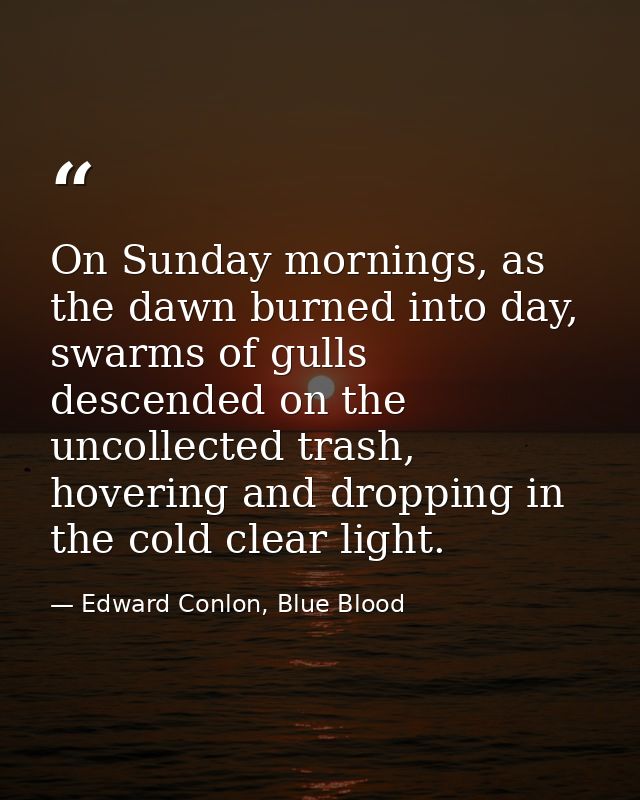 On Sunday mornings, as the dawn burned into day, swarms of gulls descended on the uncollected trash, hovering and droppi — Edward Conlon, Blue Blood