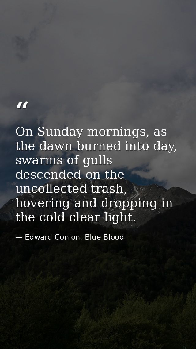 On Sunday mornings, as the dawn burned into day, swarms of gulls descended on the uncollected trash, hovering and droppi — Edward Conlon, Blue Blood