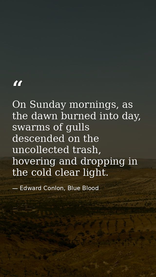 On Sunday mornings, as the dawn burned into day, swarms of gulls descended on the uncollected trash, hovering and droppi — Edward Conlon, Blue Blood