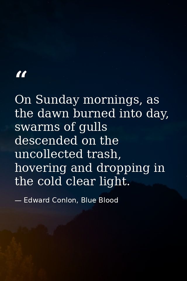 On Sunday mornings, as the dawn burned into day, swarms of gulls descended on the uncollected trash, hovering and droppi — Edward Conlon, Blue Blood