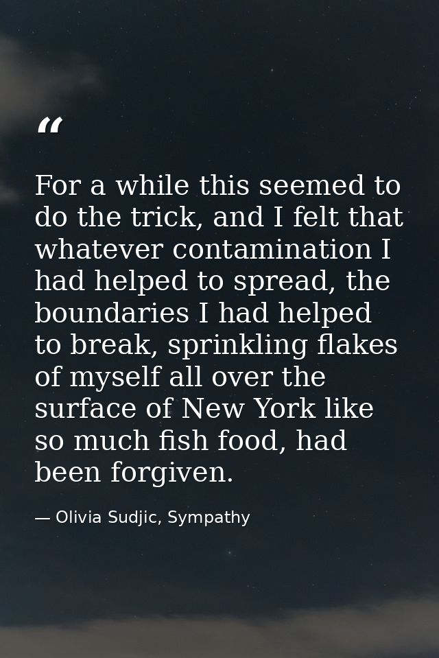 For a while this seemed to do the trick, and I felt that whatever contamination I had helped to spread, the boundaries I — Olivia Sudjic, Sympathy