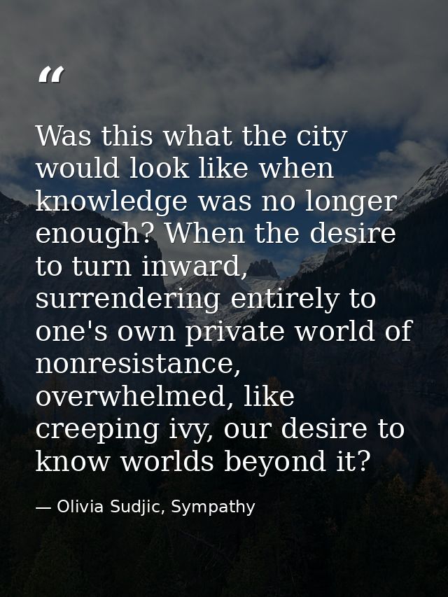 Was this what the city would look like when knowledge was no longer enough? When the desire to turn inward, surrendering — Olivia Sudjic, Sympathy