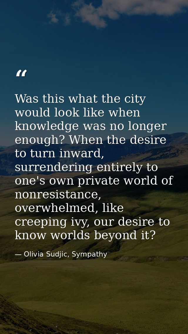 Was this what the city would look like when knowledge was no longer enough? When the desire to turn inward, surrendering — Olivia Sudjic, Sympathy