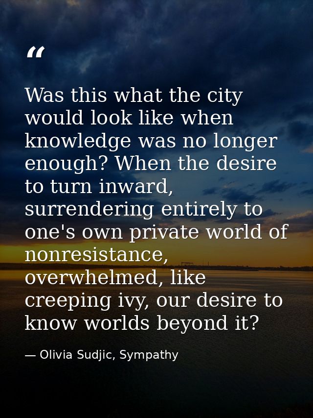 Was this what the city would look like when knowledge was no longer enough? When the desire to turn inward, surrendering — Olivia Sudjic, Sympathy