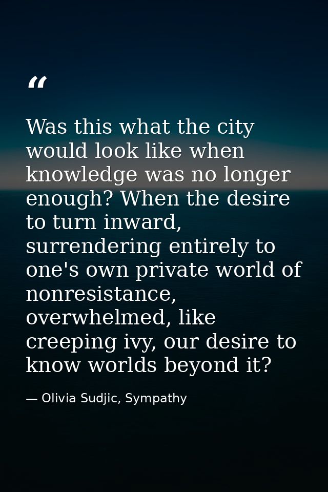 Was this what the city would look like when knowledge was no longer enough? When the desire to turn inward, surrendering — Olivia Sudjic, Sympathy