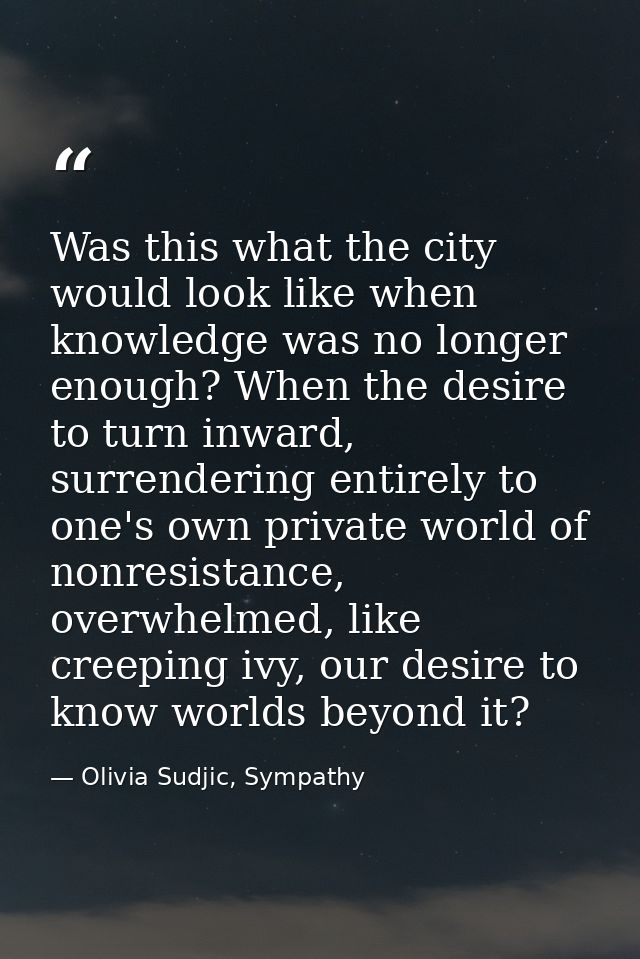 Was this what the city would look like when knowledge was no longer enough? When the desire to turn inward, surrendering — Olivia Sudjic, Sympathy