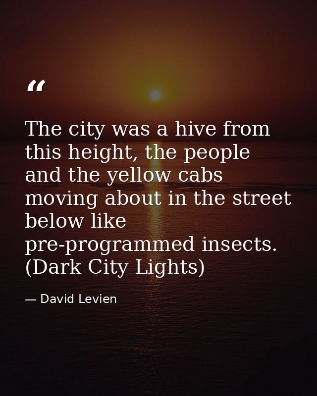The city was a hive from this height, the people and the yellow cabs moving about in the street below like pre-programme — David Levien