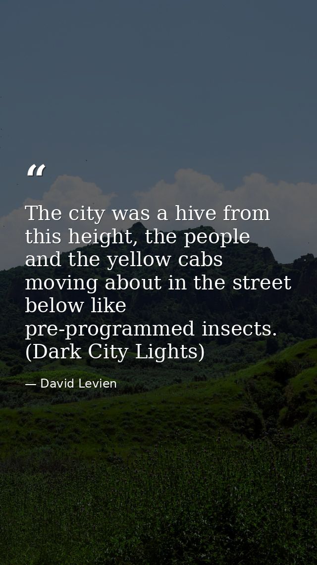 The city was a hive from this height, the people and the yellow cabs moving about in the street below like pre-programme — David Levien