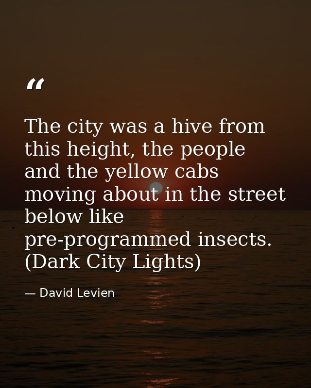 The city was a hive from this height, the people and the yellow cabs moving about in the street below like pre-programme — David Levien
