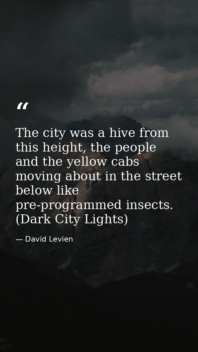 The city was a hive from this height, the people and the yellow cabs moving about in the street below like pre-programme — David Levien