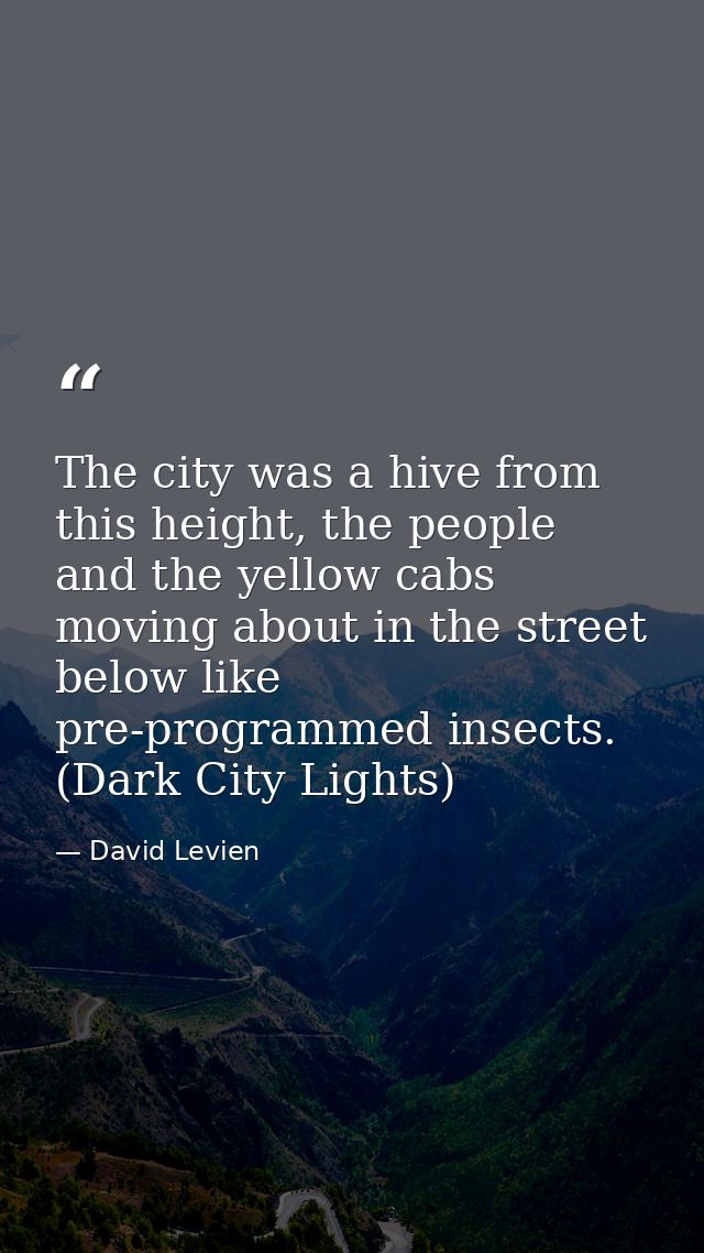 The city was a hive from this height, the people and the yellow cabs moving about in the street below like pre-programme — David Levien
