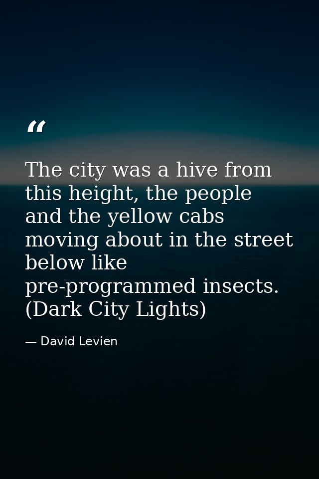 The city was a hive from this height, the people and the yellow cabs moving about in the street below like pre-programme — David Levien