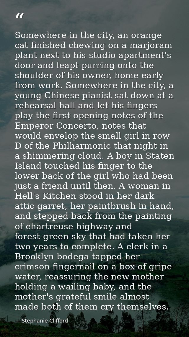 Somewhere in the city, an orange cat finished chewing on a marjoram plant next to his studio apartment's door and leapt  — Stephanie Clifford