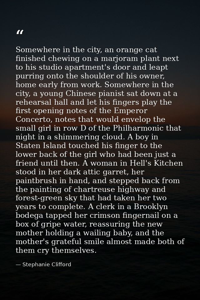 Somewhere in the city, an orange cat finished chewing on a marjoram plant next to his studio apartment's door and leapt  — Stephanie Clifford