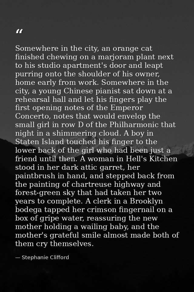 Somewhere in the city, an orange cat finished chewing on a marjoram plant next to his studio apartment's door and leapt  — Stephanie Clifford