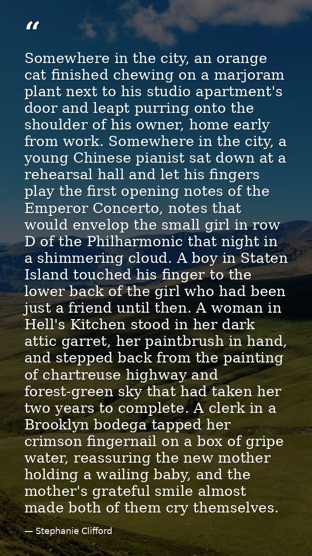 Somewhere in the city, an orange cat finished chewing on a marjoram plant next to his studio apartment's door and leapt  — Stephanie Clifford