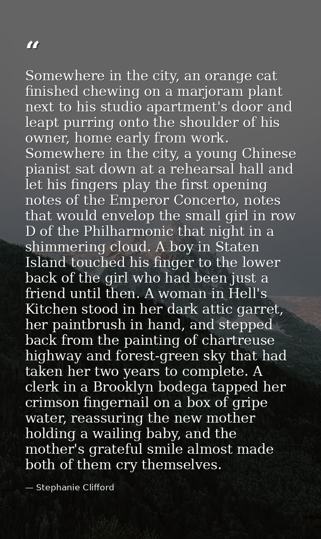 Somewhere in the city, an orange cat finished chewing on a marjoram plant next to his studio apartment's door and leapt  — Stephanie Clifford