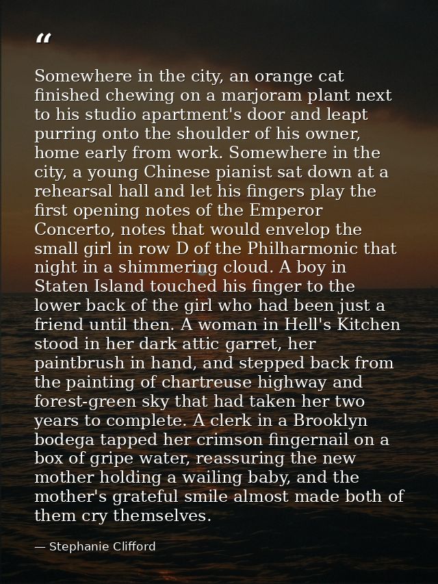 Somewhere in the city, an orange cat finished chewing on a marjoram plant next to his studio apartment's door and leapt  — Stephanie Clifford