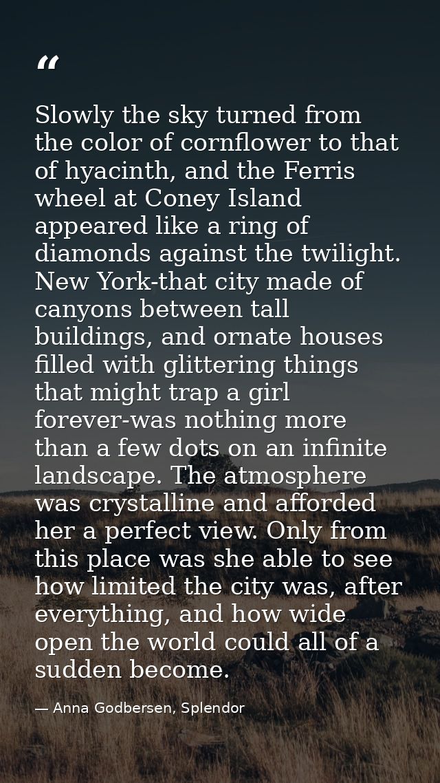 Slowly the sky turned from the color of cornflower to that of hyacinth, and the Ferris wheel at Coney Island appeared li — Anna Godbersen, Splendor