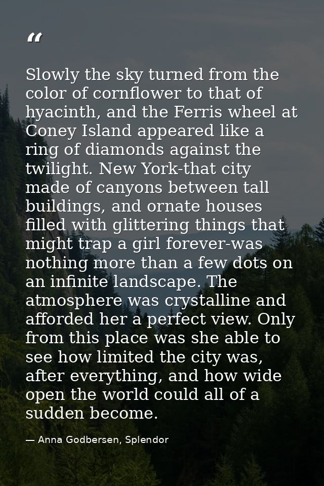 Slowly the sky turned from the color of cornflower to that of hyacinth, and the Ferris wheel at Coney Island appeared li — Anna Godbersen, Splendor