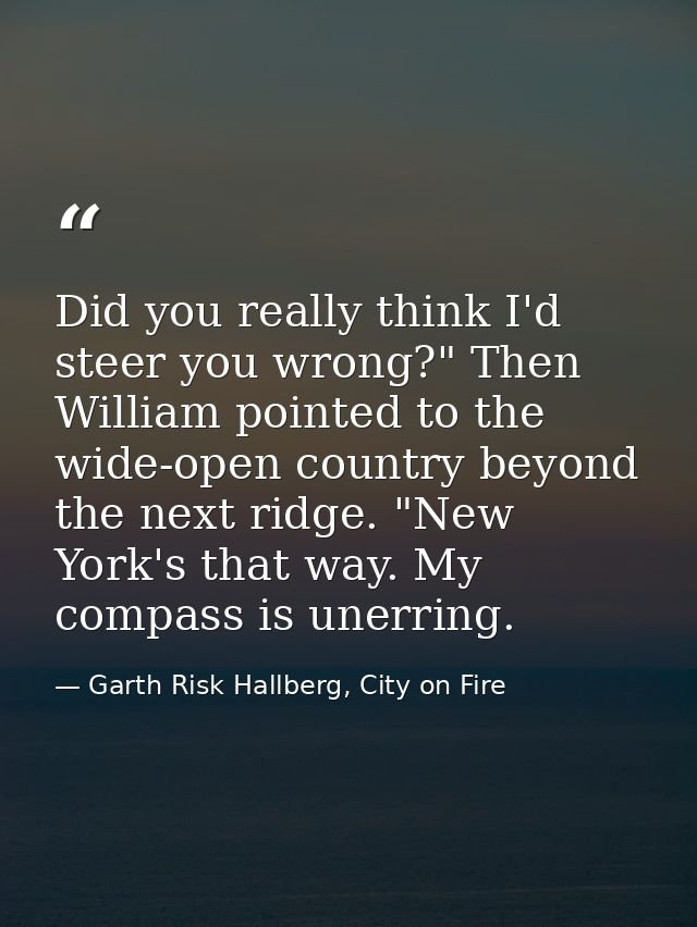 Did you really think I'd steer you wrong?" Then William pointed to the wide-open country beyond the next ridge. "New Yor — Garth Risk Hallberg, City on Fire