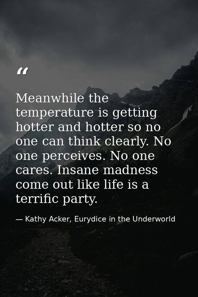 Meanwhile the temperature is getting hotter and hotter so no one can think clearly. No one perceives. No one cares. Insa — Kathy Acker, Eurydice in the Underworld