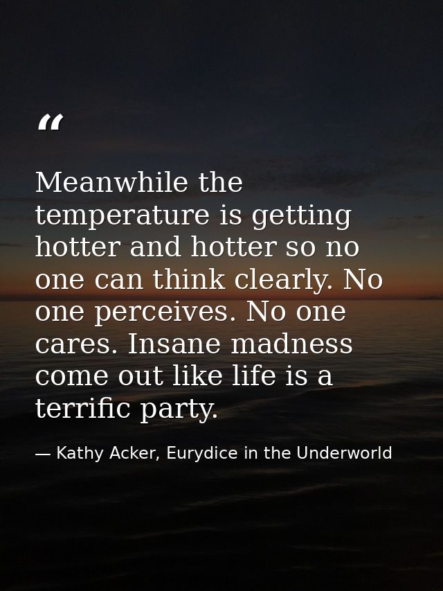 Meanwhile the temperature is getting hotter and hotter so no one can think clearly. No one perceives. No one cares. Insa — Kathy Acker, Eurydice in the Underworld