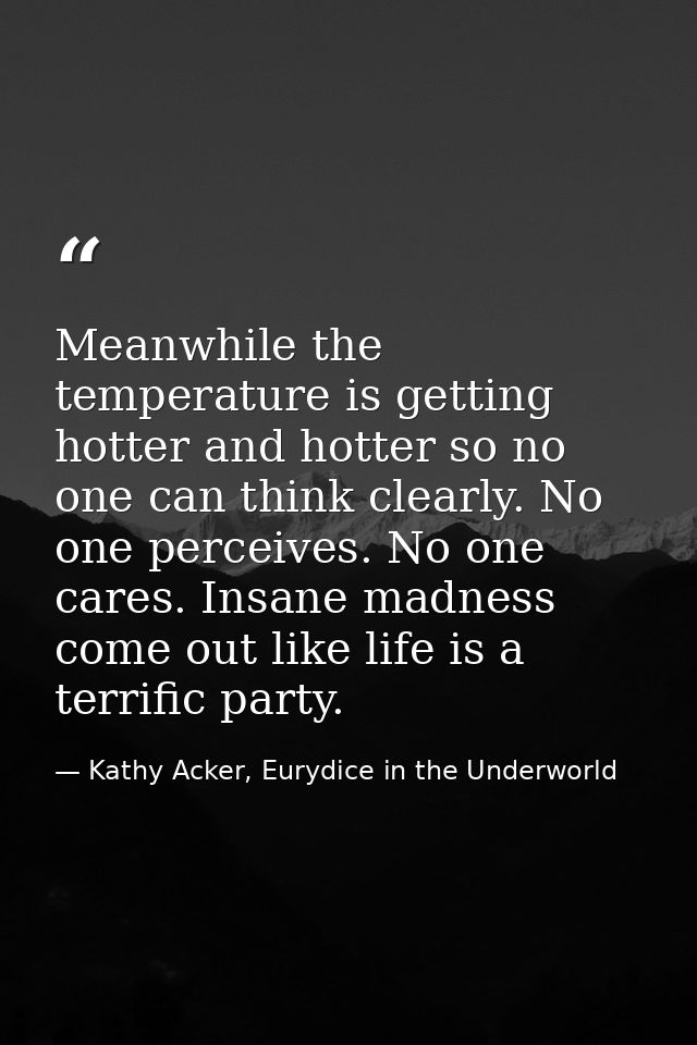 Meanwhile the temperature is getting hotter and hotter so no one can think clearly. No one perceives. No one cares. Insa — Kathy Acker, Eurydice in the Underworld