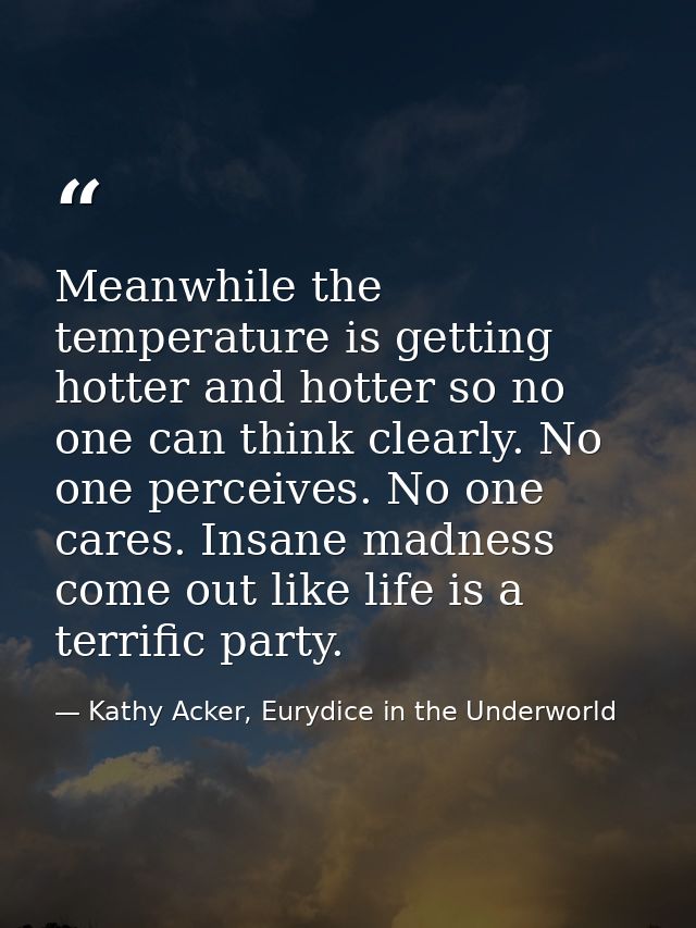 Meanwhile the temperature is getting hotter and hotter so no one can think clearly. No one perceives. No one cares. Insa — Kathy Acker, Eurydice in the Underworld