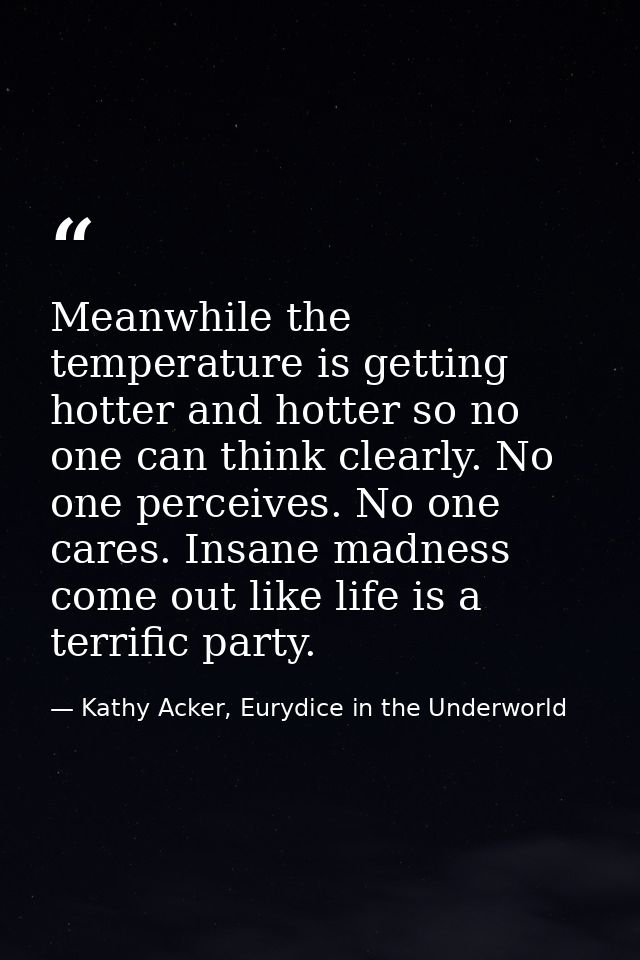 Meanwhile the temperature is getting hotter and hotter so no one can think clearly. No one perceives. No one cares. Insa — Kathy Acker, Eurydice in the Underworld