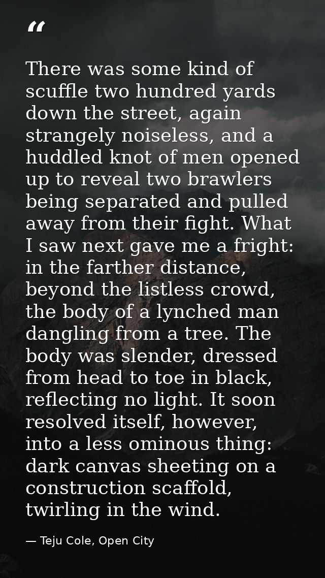 There was some kind of scuffle two hundred yards down the street, again strangely noiseless, and a huddled knot of men o — Teju Cole, Open City