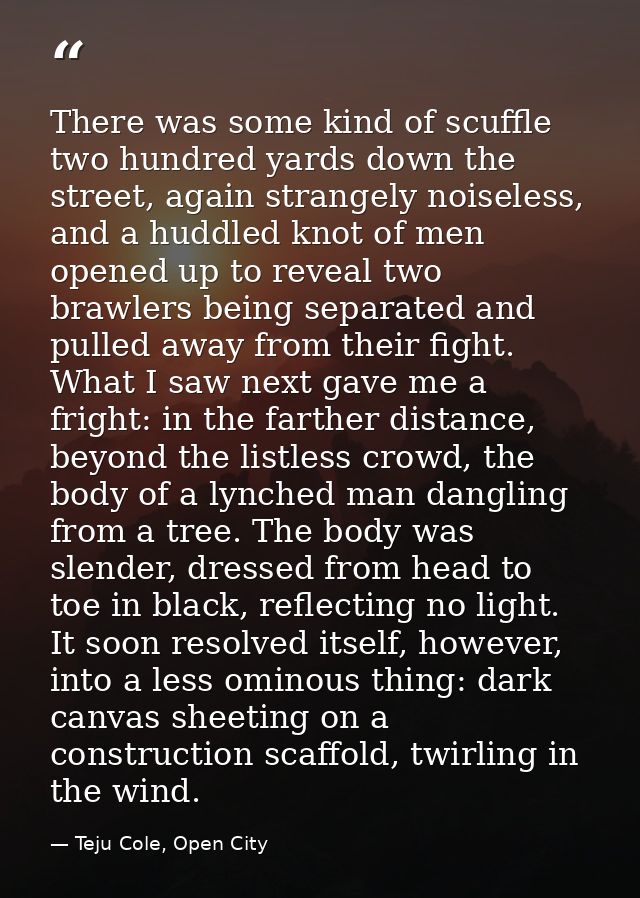 There was some kind of scuffle two hundred yards down the street, again strangely noiseless, and a huddled knot of men o — Teju Cole, Open City
